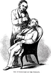 02_Dr-Fritsch_green_fig1