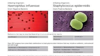 201210_sinuscience_network