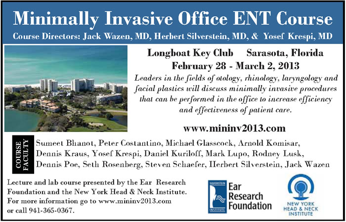 201212_19_silverstein