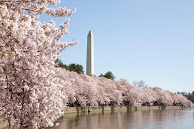 FeaturePhoto_111883130