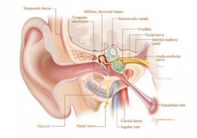 Figure 2. The comparison illustration is reproduced by courtesy of Stanford University