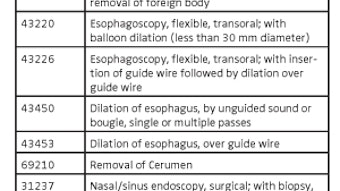 05_chart