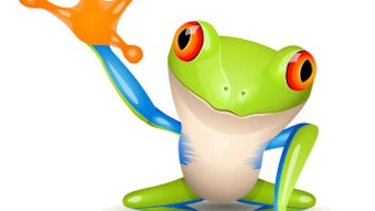 Frogs have large protruding eyes, giving them almost 360° vision, allowing them to look without moving, and many are nocturnal, with good night vision. A mirror layer (tapetum lucidium) in the back of their eyes allows them to reflect light at night, giving them a search light for hunting.