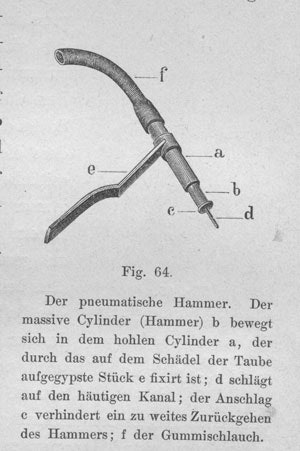 The “pneumatic hammer,” which was plastered over an opened semicircular canal, with a fine pin d, which pressed on the endolymphatic compartment of an opened canal.