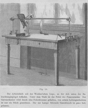 Ewald’s workbench with Westien magnifying glass (Westien’schen lupe) and the pigeon holder. Illumination is from a gas lamp reflected by a mirror. On the right is a galvanometer for heating the canals.