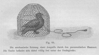 02_Prof-Hornibrook-photo-4