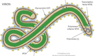 Figure 1: Geography of Ebola Virus (Filoviridae family). Written permission was secured from the Viralzone, Swiss Institute of Bioinformatics (11/19/2014) for the use of the above figure in illustrating the special features of the Ebola Virus.