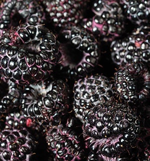 raspberries