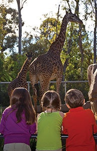 Photo by Ken Bohn/San Diego Tourism Authority