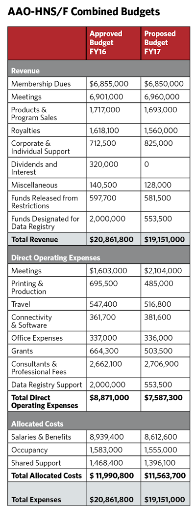 aao-hnsf_CombinedBudgets