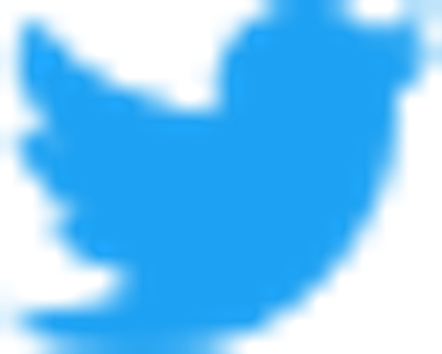 Twitter Logo Blue Sm