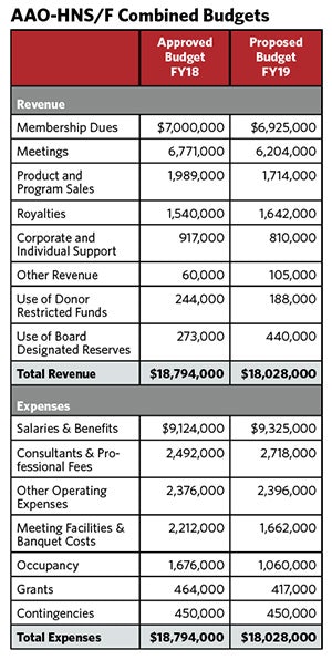 2019 Budget