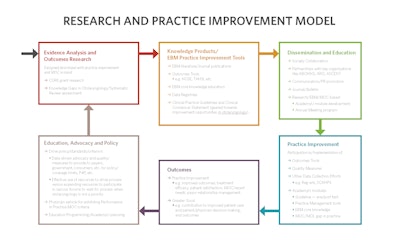 Click to Download “Research Practice Improvement Model” PDF