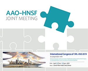 Joint Meeting Logo