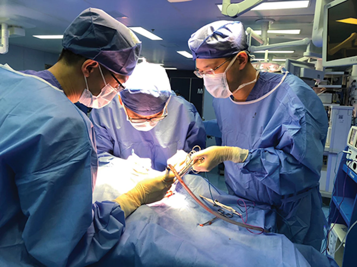 International Guest Of Honor Taiwan Head And Neck Society Combatting Head And Neck Cancer In Taiwan Aao Hnsf Bulletin