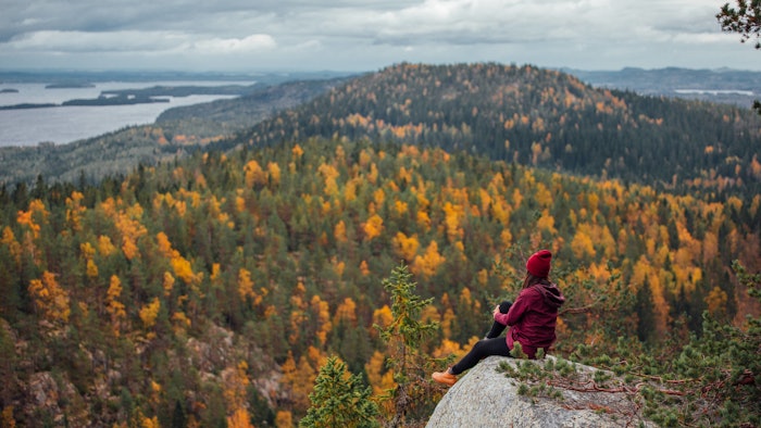 There are 40 national parks in Finland, including Koli National Park.