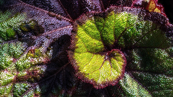 The Regenerative Revolution is the first in a series of #Natureworks reports from IMEX.
