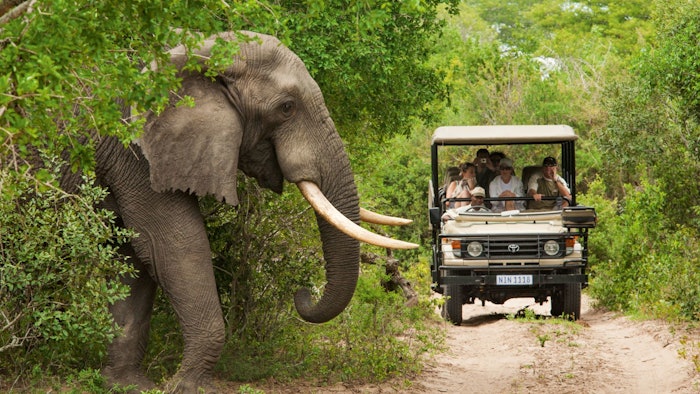 Lush green landscapes, sun-soaked coasts, wildlife safaris and vibrant cultures are waiting for visitors to South Africa.