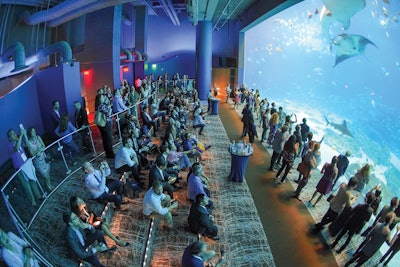 Presidents’ Reception at the AAO-HNSF 2018 Annual Meeting & OTO Experience in Atlanta, Georgia, at the Georgia Aquarium.