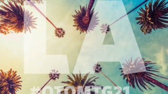 Am21 Palm Trees