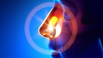 Dorsal Preservation Rhinoplasty Web