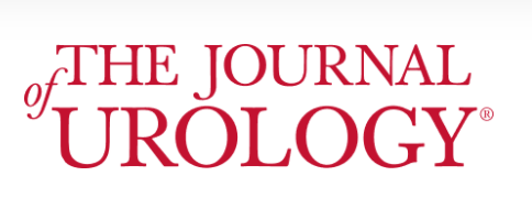 Screen Shot 2022 02 09 At 9 44 21 Am