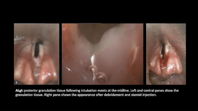 05 From The Education Committees Images 1