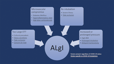 05 From The Education Committees Images 2