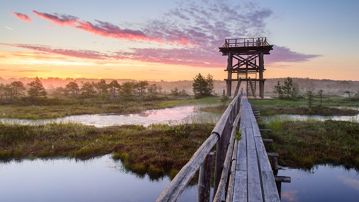 Peat bogs and mires cover one-fifth of mainland Estonia, and visitors can experience bog walking, made possible with the help of wooden boardwalks or special bog shoes.