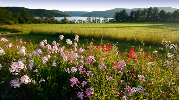 The Saanich Peninsula is a long, scenic headland northeast of Victoria. Once primarily a farming region, the peninsula is a beautiful destination with pastures, rolling hills and water on all sides.