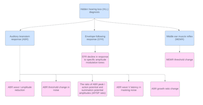 Figure 2. An algorithm for different diagnostic tools and their respective electrical measures representative of hidden hearing loss.