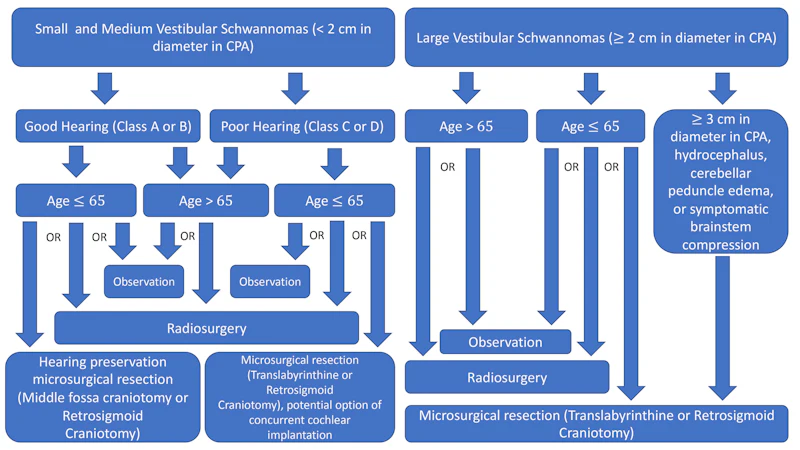 Vestibular Algorithm Chart Contemporary Management of Vestibular Schwannoma | AAO-HNS Bulletin