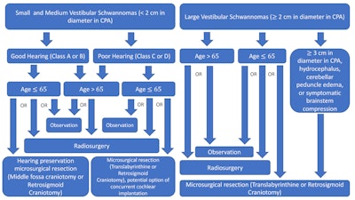 Vestibular Schwannoma Algorithm