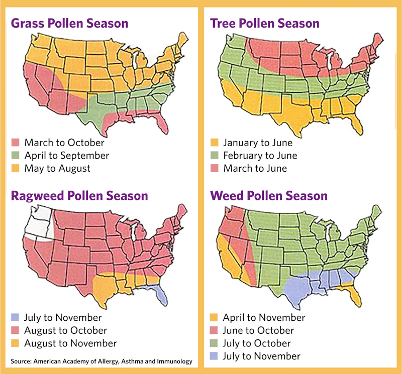 The Worst Spring Pollen Season Ever? | AAO-HNS Bulletin