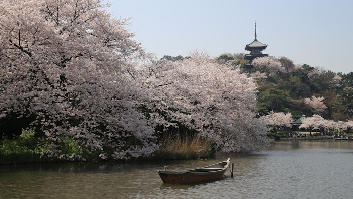 Sankeien is a traditional-style Japanese garden with 175,000 square metres of ponds, streams and easily hiked paths, along with culturally historic and significant buildings brought from all over Japan.