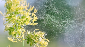 Shutterstock 1425775514