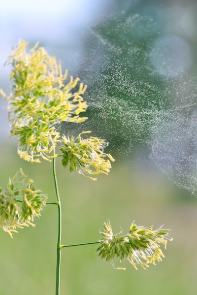 Shutterstock 1425775514