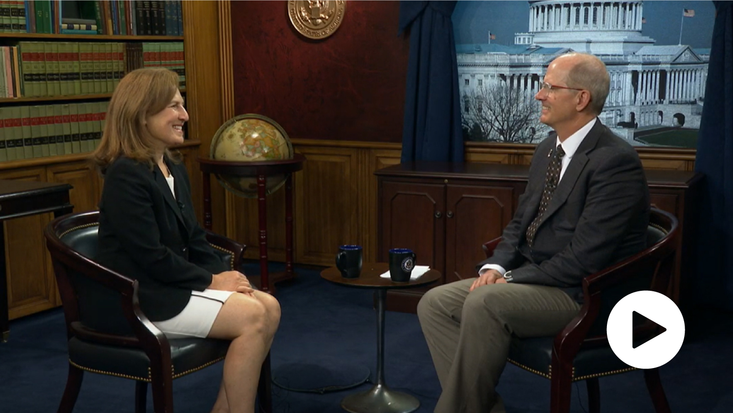 Interview Screenshot Icon