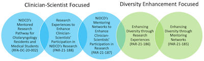 Figure 1. NIH R25 programs. Programs in green aim to cultivate diverse clinician-scientists.
