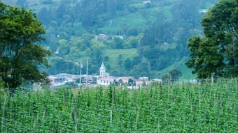 Colombia offers experiences in the midst of impressive nature between volcanoes, deserts and high mountains, as well as encounters with indigenous tribes, coffee farmers and cowboys.