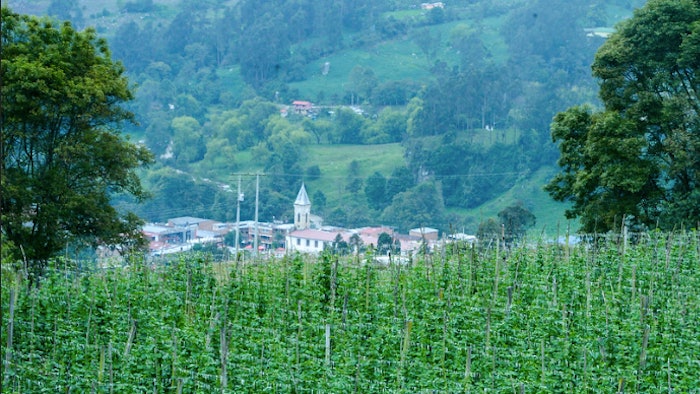 Colombia offers experiences in the midst of impressive nature between volcanoes, deserts and high mountains, as well as encounters with indigenous tribes, coffee farmers and cowboys.
