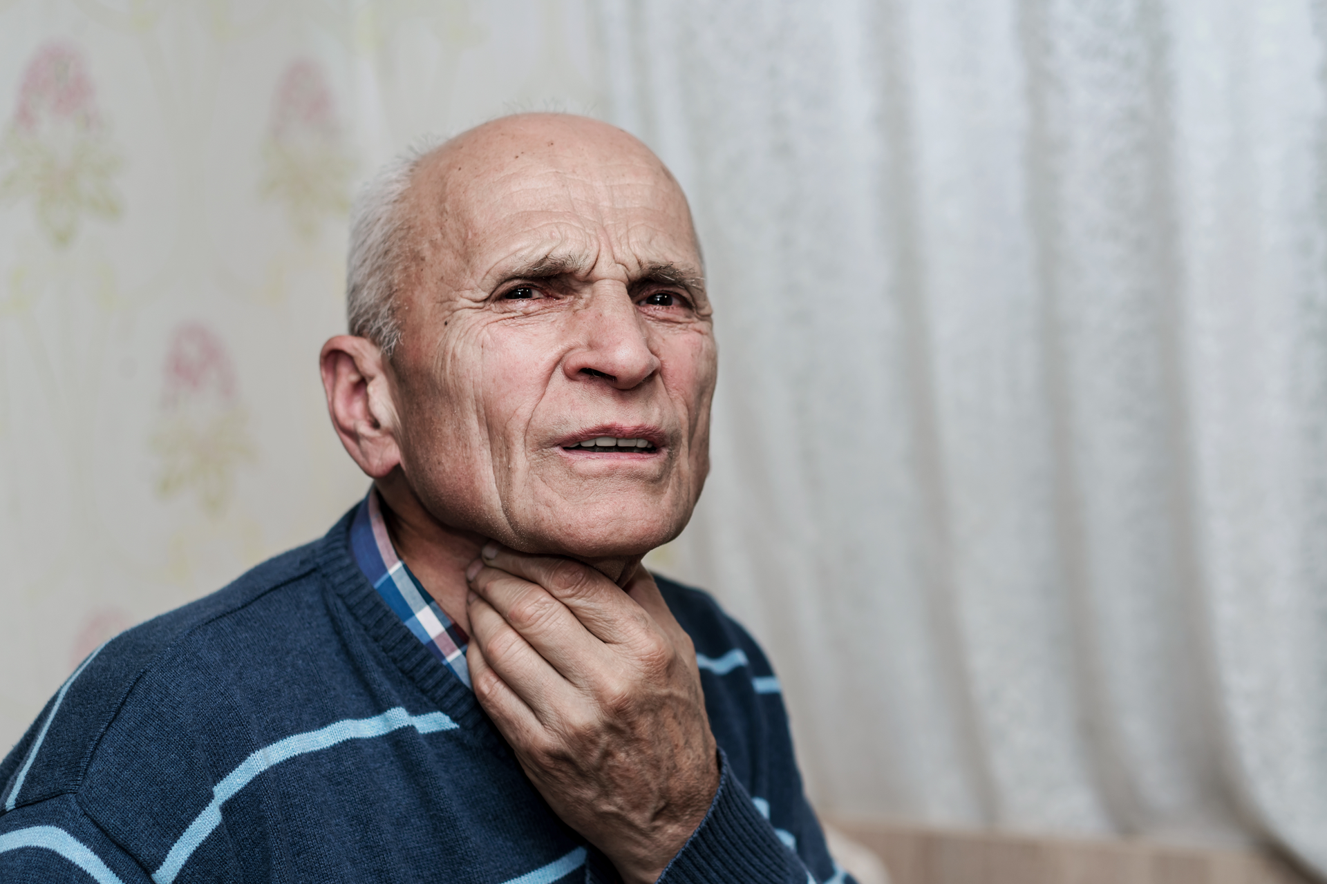 Shutterstock 2033311283