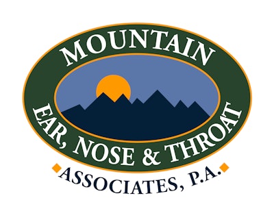 Mtnent Logo Color 2009