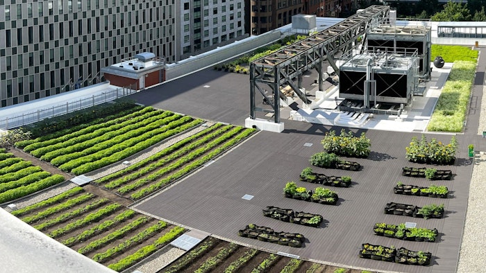 The Palais des congrès de Montréal is demonstrating its ongoing commitment to innovation, sustainability and community-building with its green roof projects.