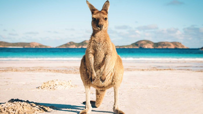 Annual survey confirms Australia is still a top events destination.