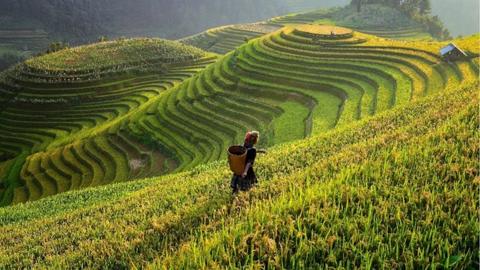 Through strategic partnerships, REALM Events has made a substantial stride in its commitment to sustainability and innovation.