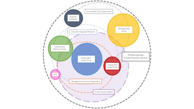 Figure 2. The otolaryngology private practice universe.