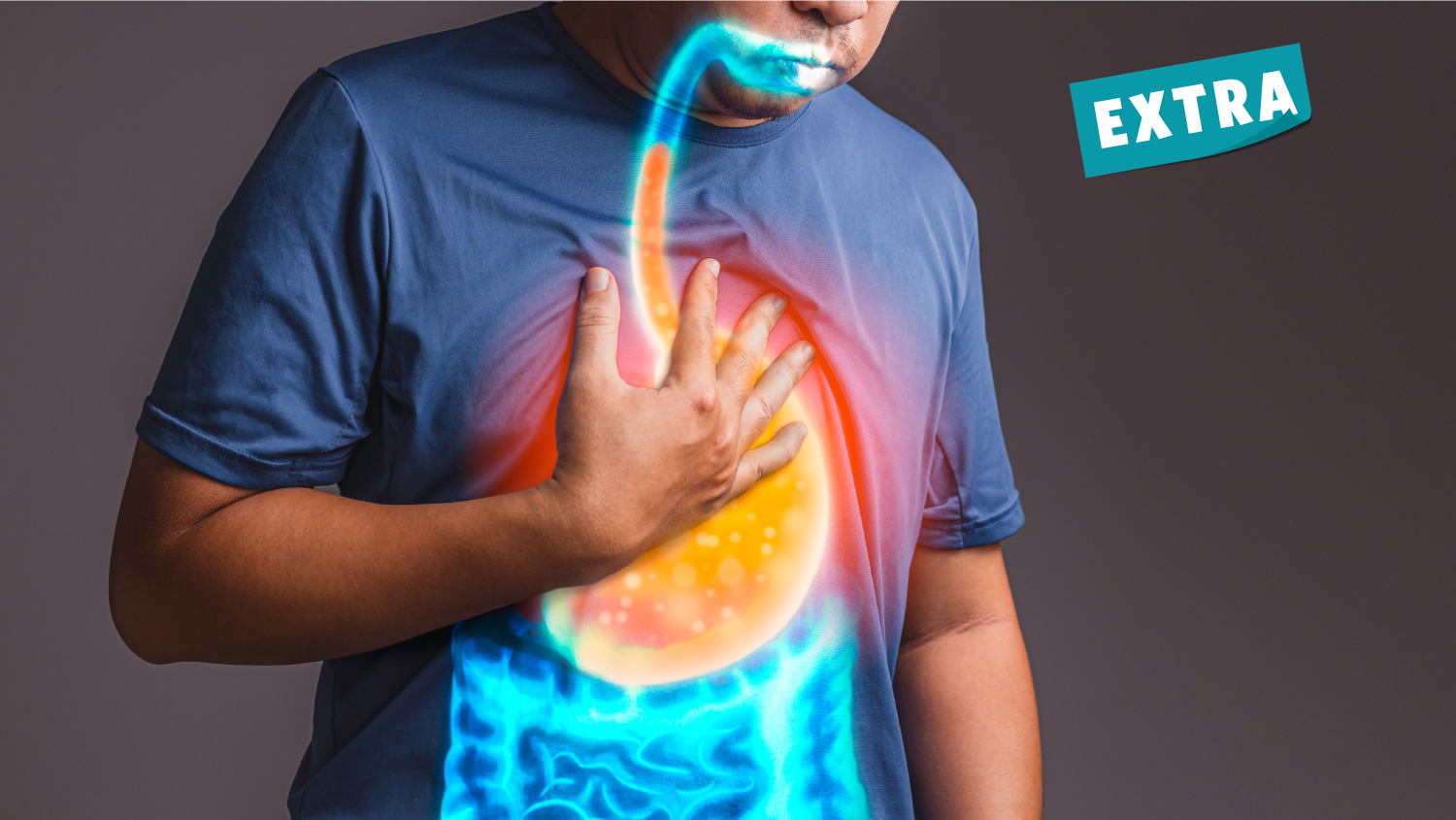 Shutterstock 1817700434 Base