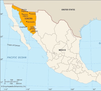 Stories From The Road Map