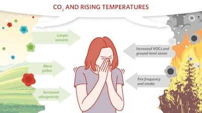 CO2 and rising temperatures have a synergistic effect on environmental causes of allergies.
